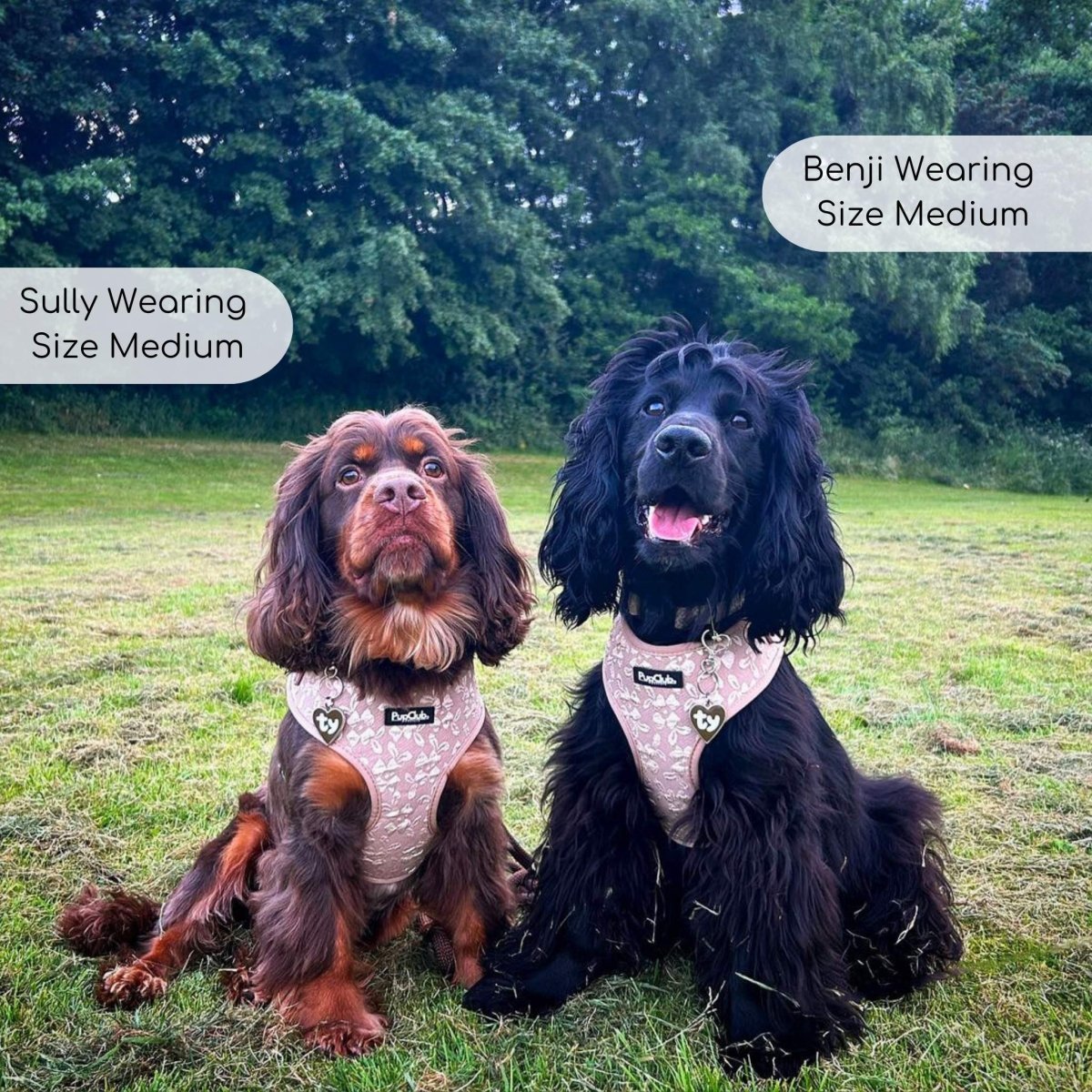 Luxe Adjustable Harness - Toffee Latte Petals - mezetto PupClub Couture PupClub Couture