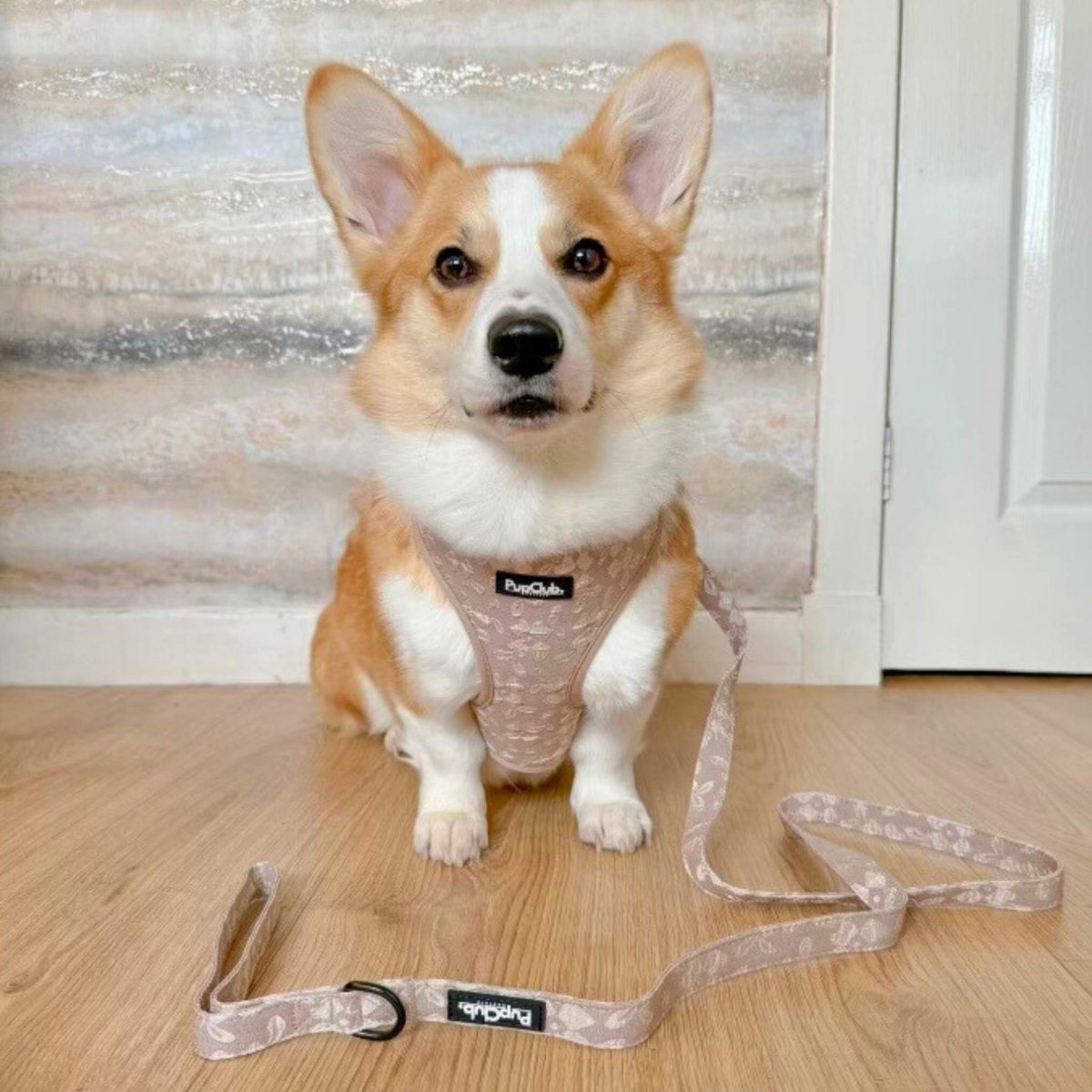 Luxe Adjustable Harness - Toffee Latte Petals - mezetto PupClub Couture PupClub Couture