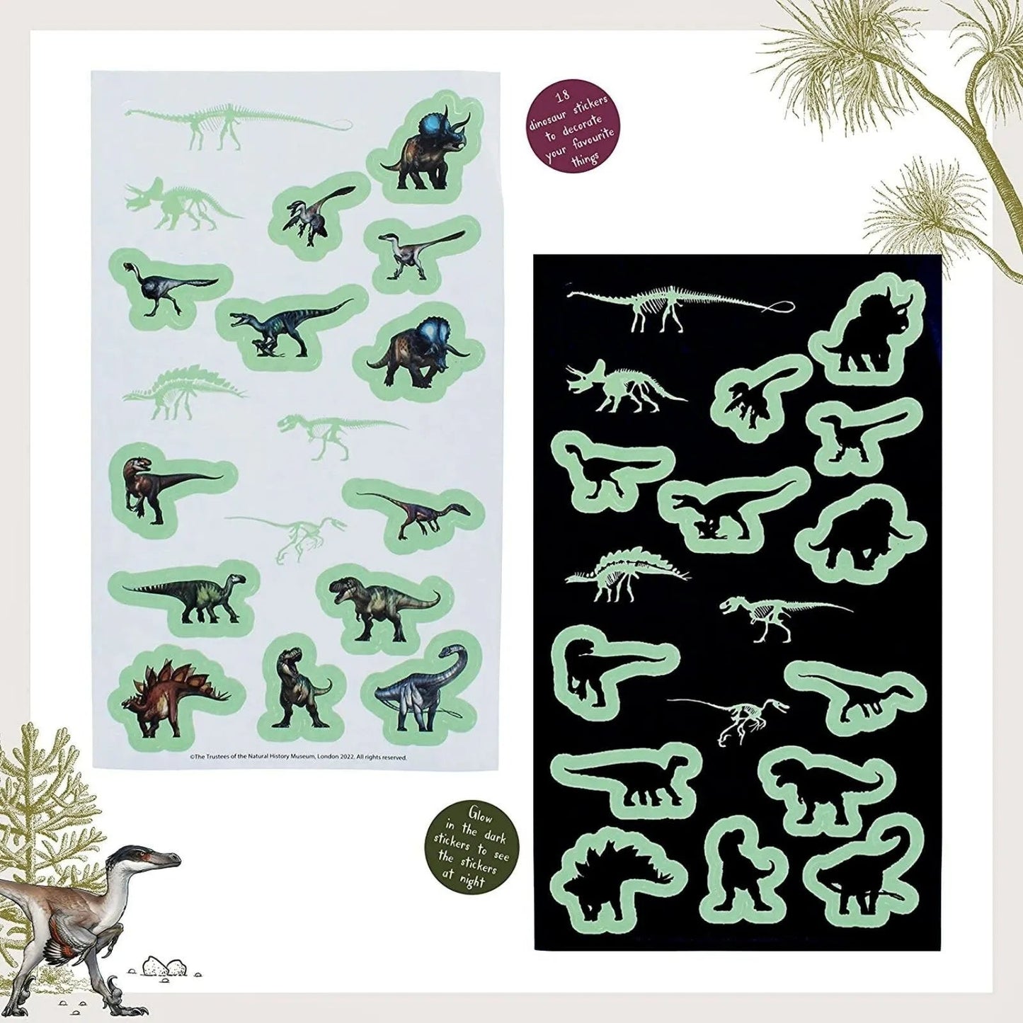 National History Museum Glow in the Dark Stickers - mezetto ebebek ebebek