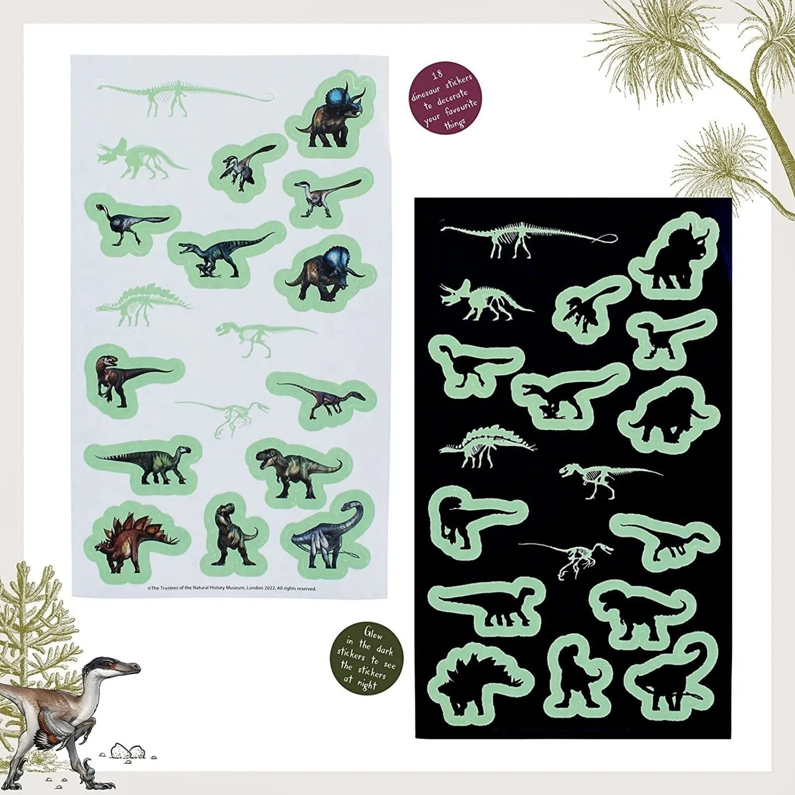 National History Museum Glow in the Dark Stickers - mezetto ebebek ebebek