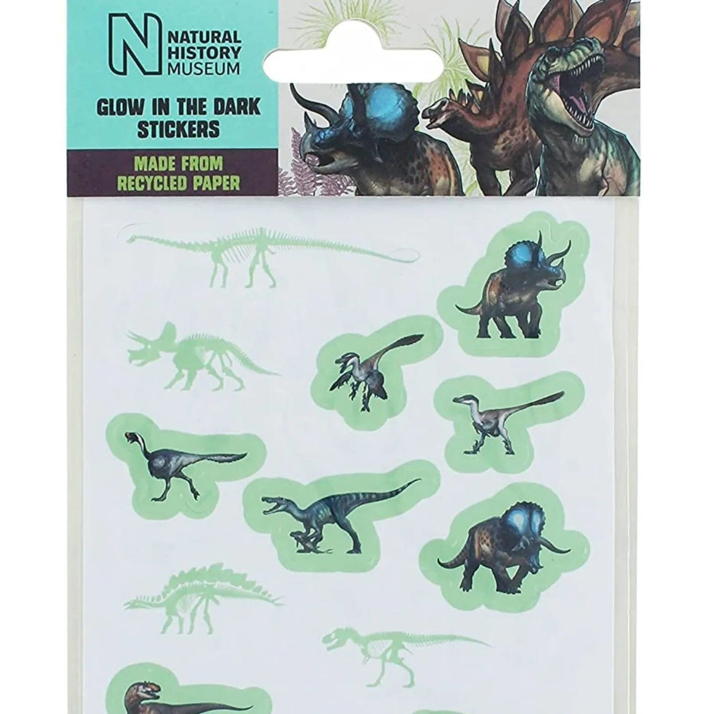 National History Museum Glow in the Dark Stickers - mezetto ebebek ebebek