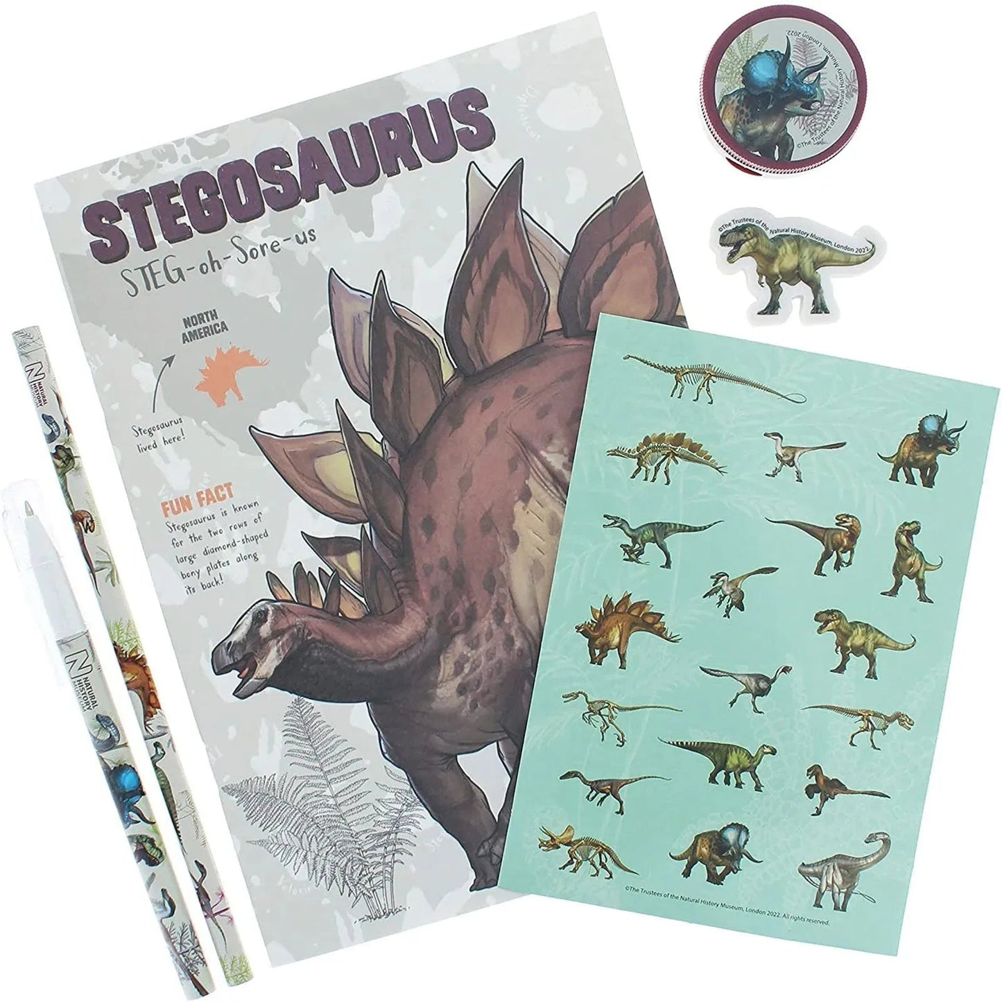 National History Museum Large Stationery Set - mezetto ebebek ebebek