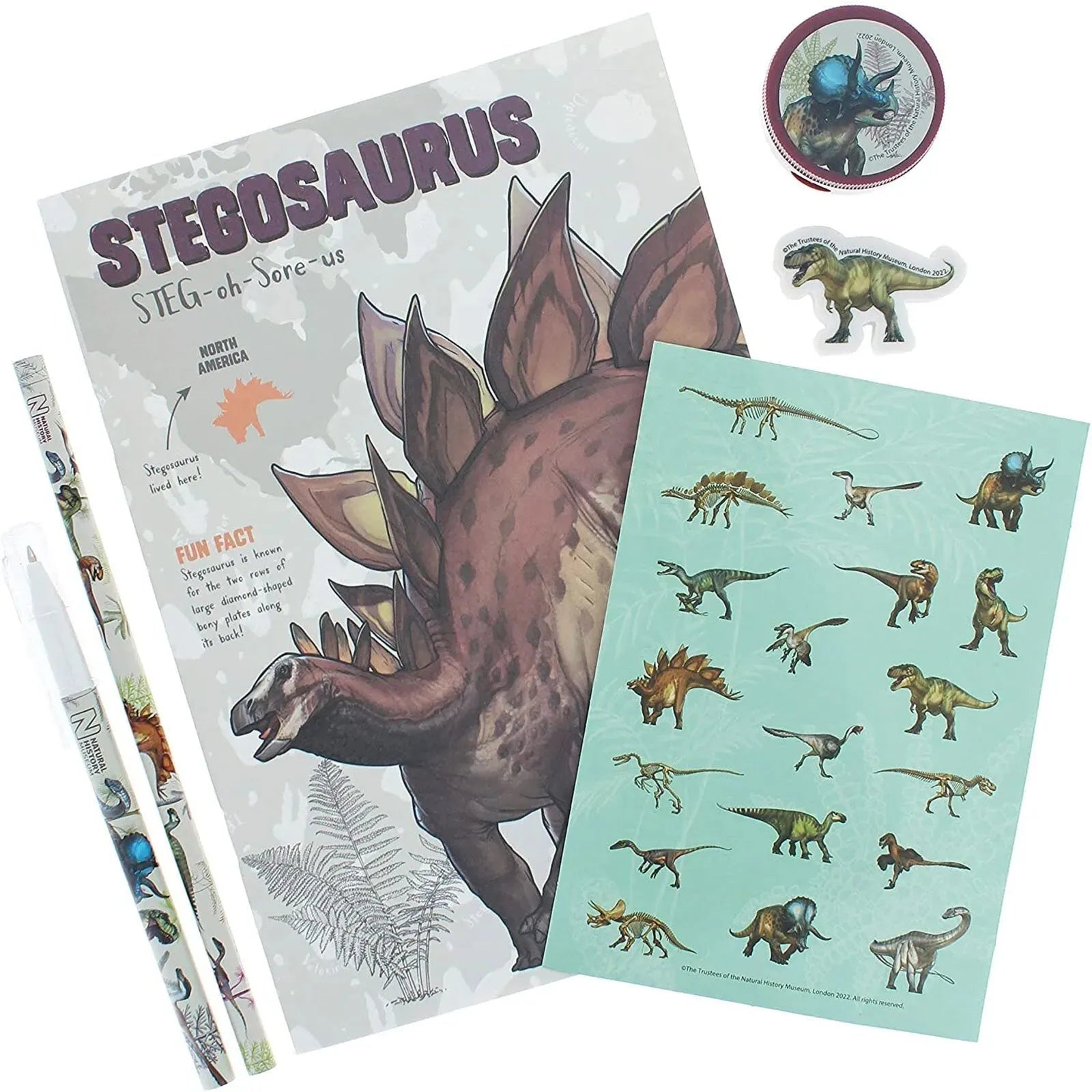 National History Museum Large Stationery Set - mezetto ebebek ebebek