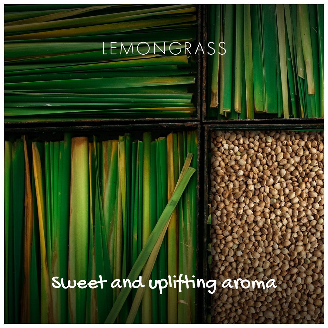 Natural Soap On A Rope - 'Zingy' Lemongrass 125g - mezetto Friendly Soap Friendly Soap
