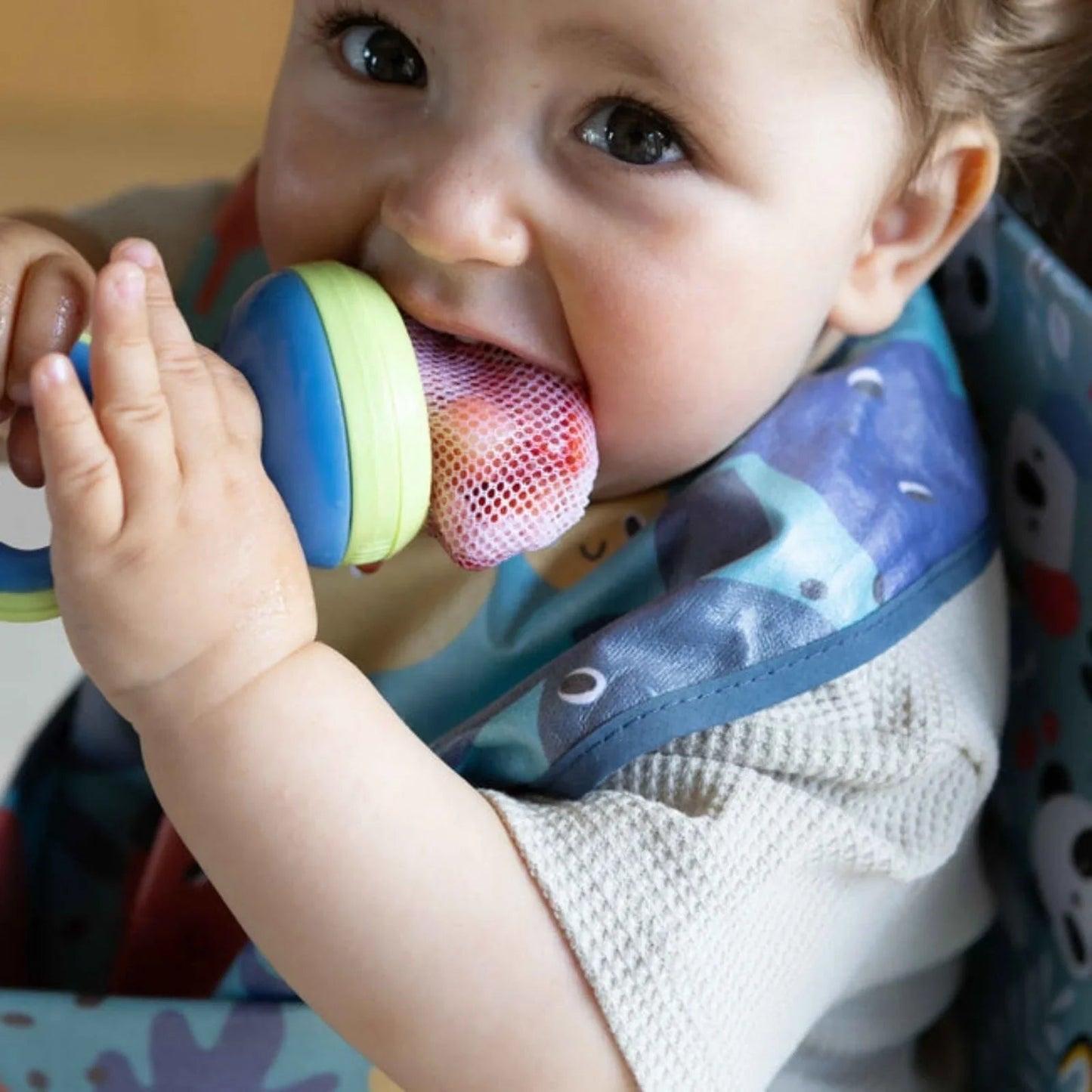 Nuby Nibbler with Hygenic Cover Assorted - mezetto ebebek ebebek
