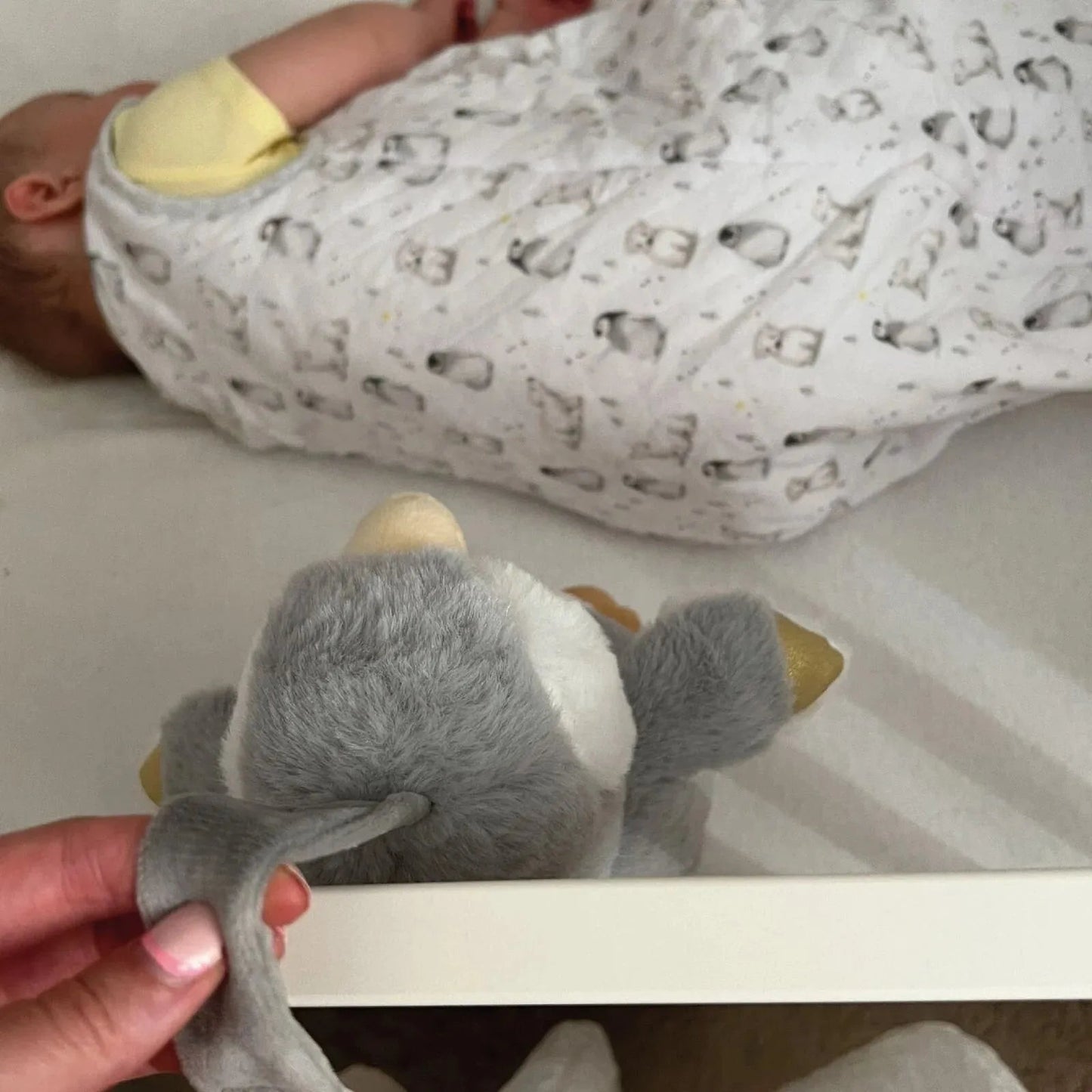 Nuby Penguin Sleep Aid with Cry Sensor - mezetto ebebek ebebek