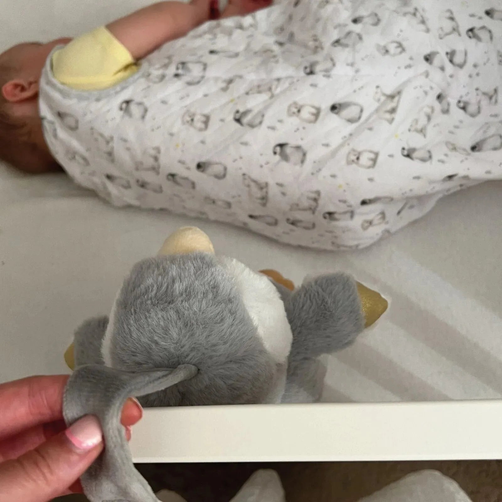 Nuby Penguin Sleep Aid with Cry Sensor - mezetto ebebek ebebek