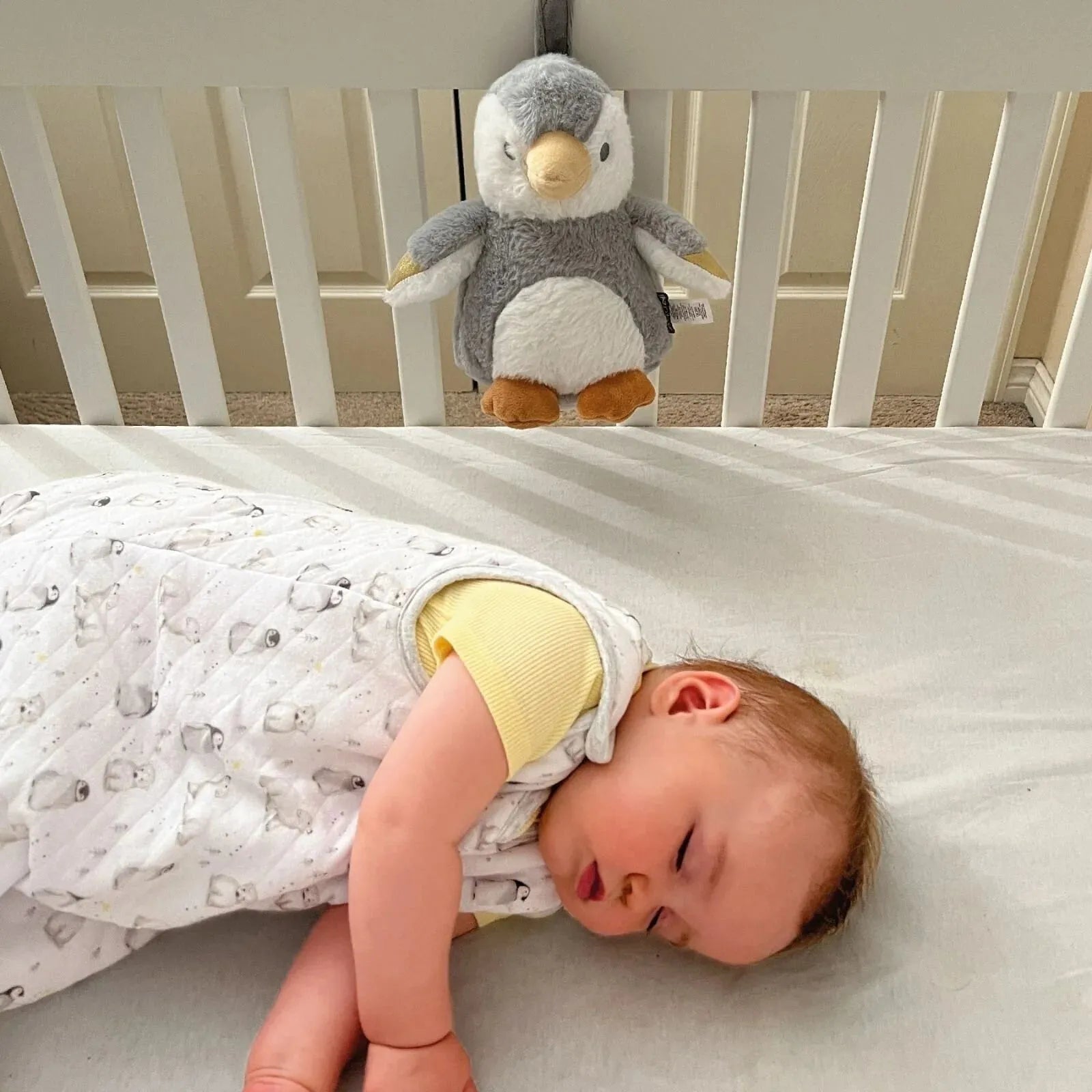 Nuby Penguin Sleep Aid with Cry Sensor - mezetto ebebek ebebek