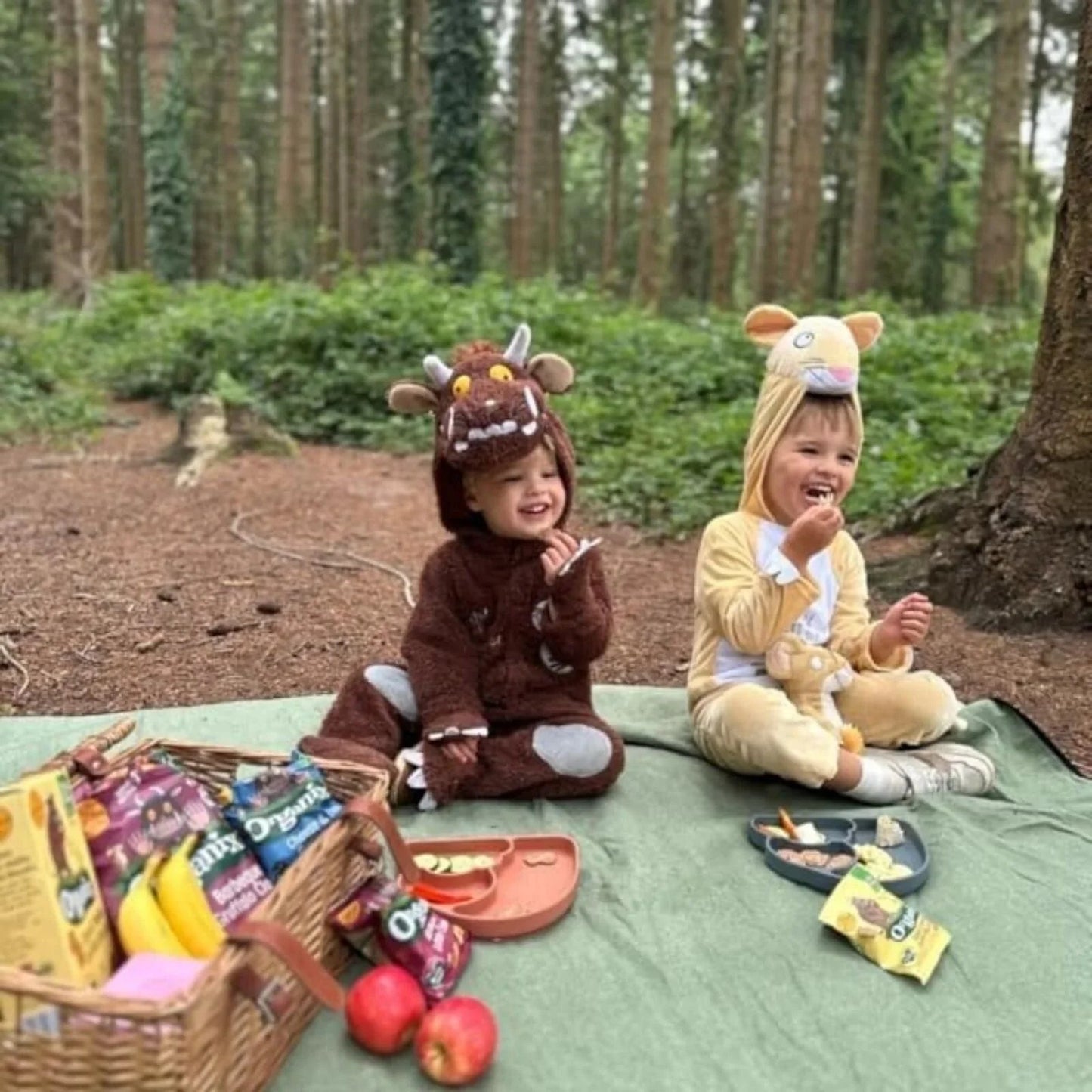 Organix Gruffalo Apple Crumble Oaty Bar 12+ months 138g (6x23g) - mezetto ebebek ebebek
