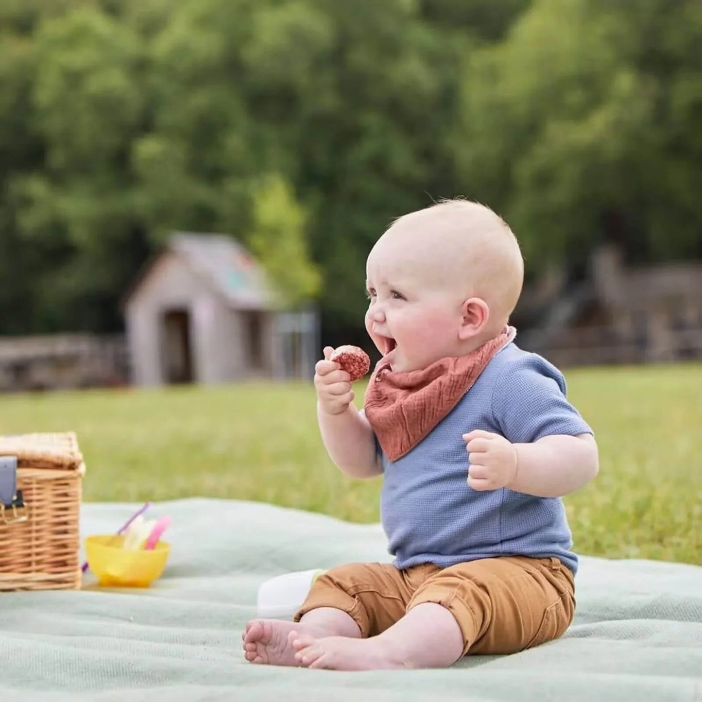 Organix Summer Fruits Rice Cake Clouds 7+ months 40g - mezetto ebebek ebebek