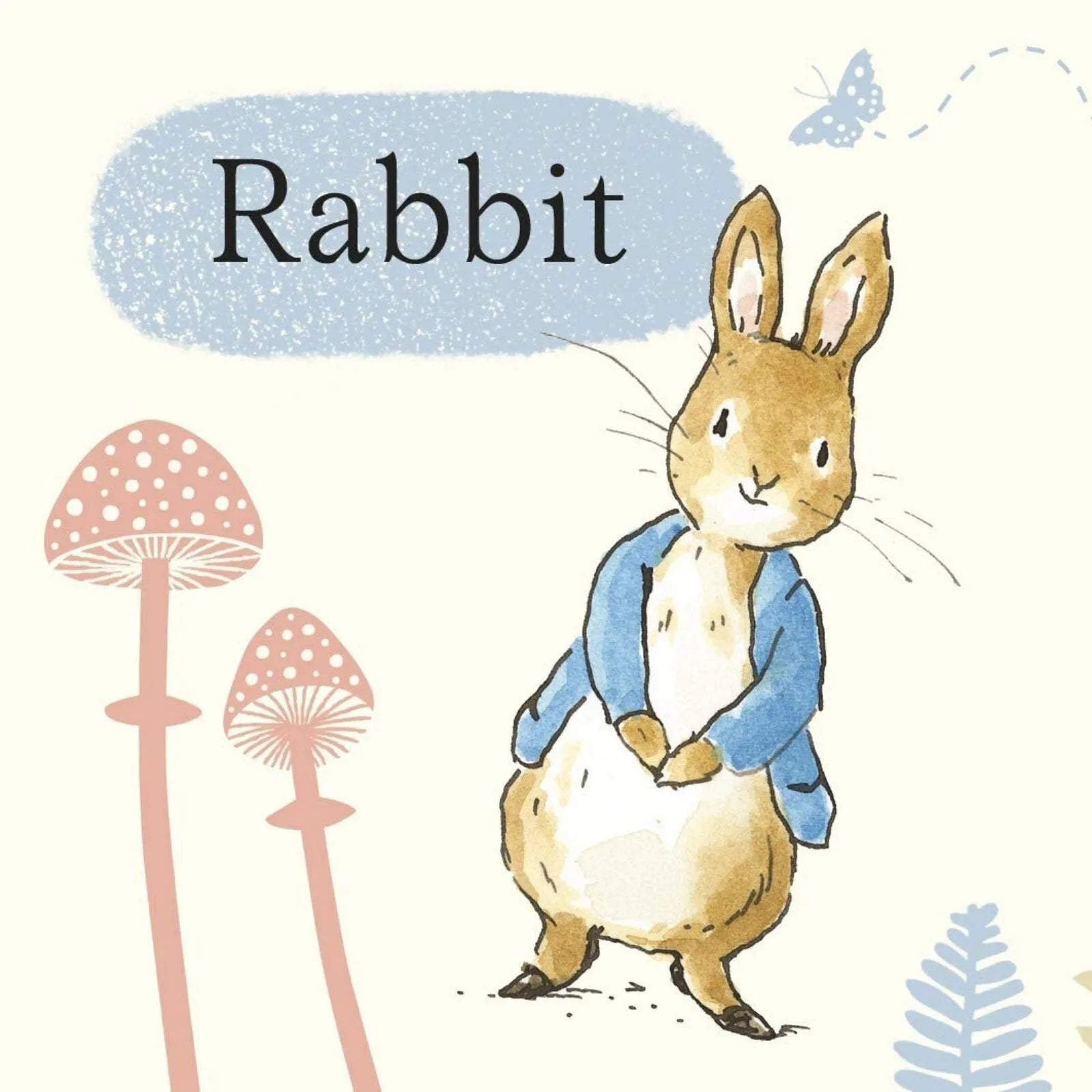 Peter Rabbit Tales Little Library - mezetto ebebek ebebek