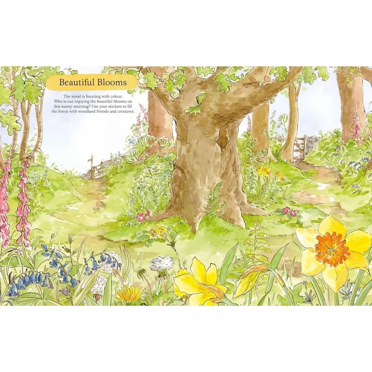 Peter Rabbit The Big Outdoors Sticker Activity Book - mezetto ebebek ebebek