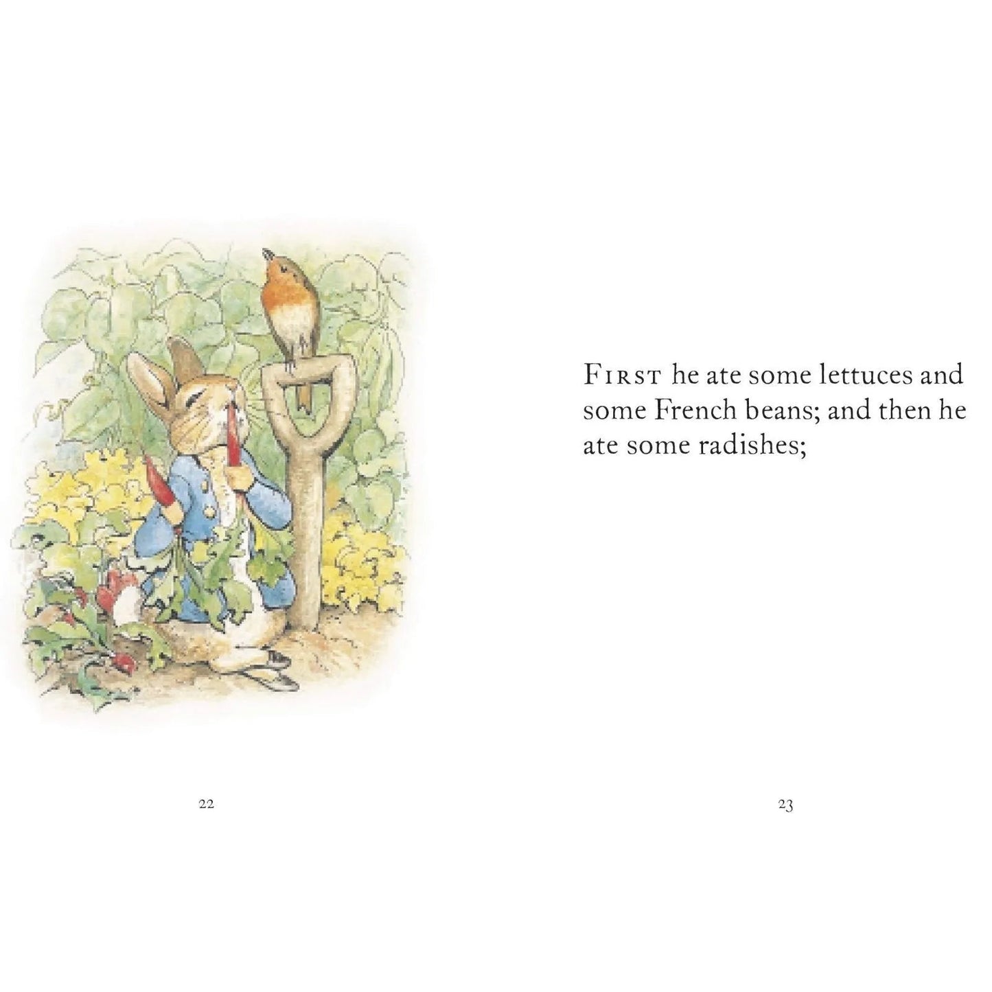 Peter Rabbit The Tale of Peter Rabbit - mezetto ebebek ebebek