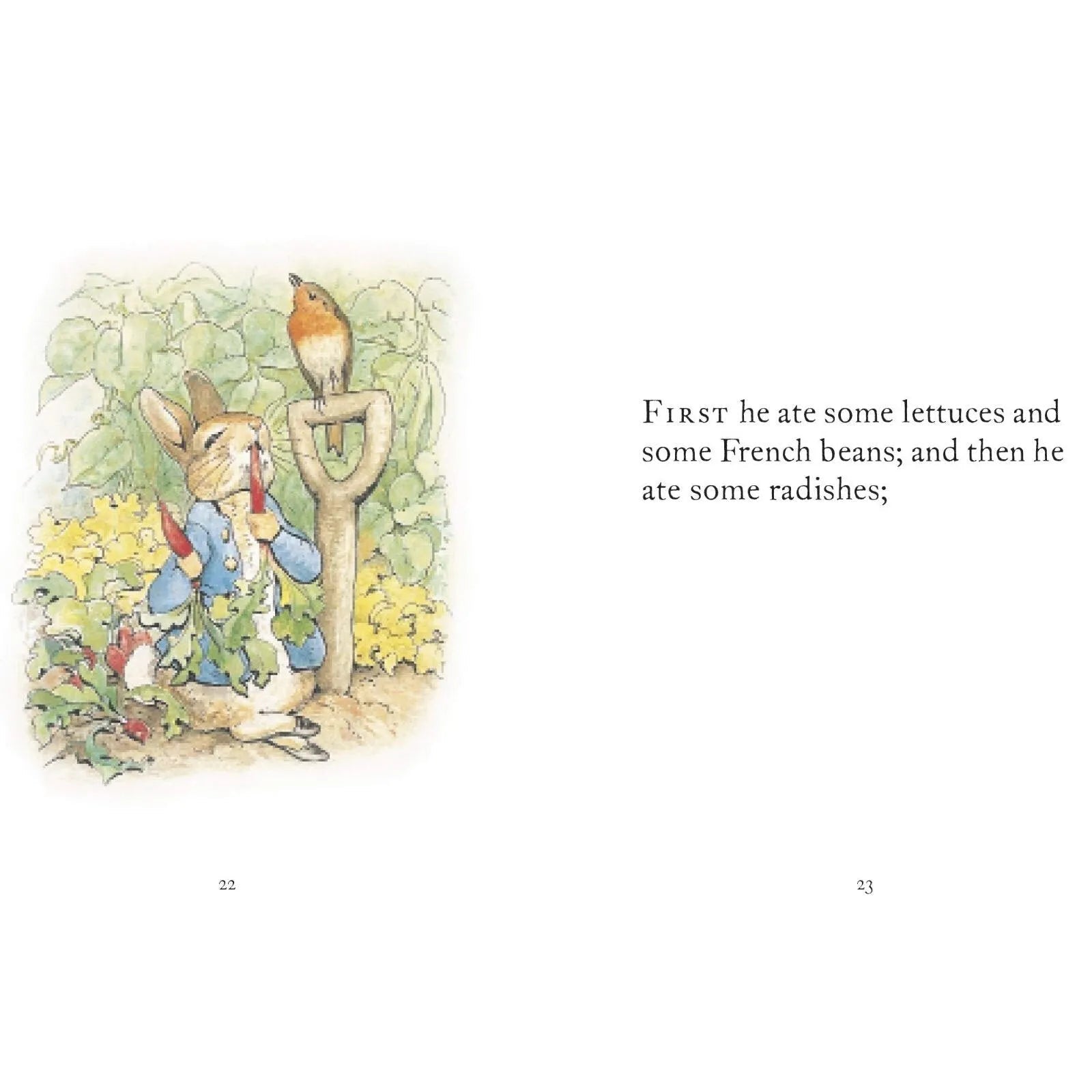Peter Rabbit The Tale of Peter Rabbit - mezetto ebebek ebebek