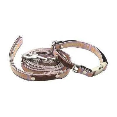 Petite Pooch Chic Cotton Collar - mezetto