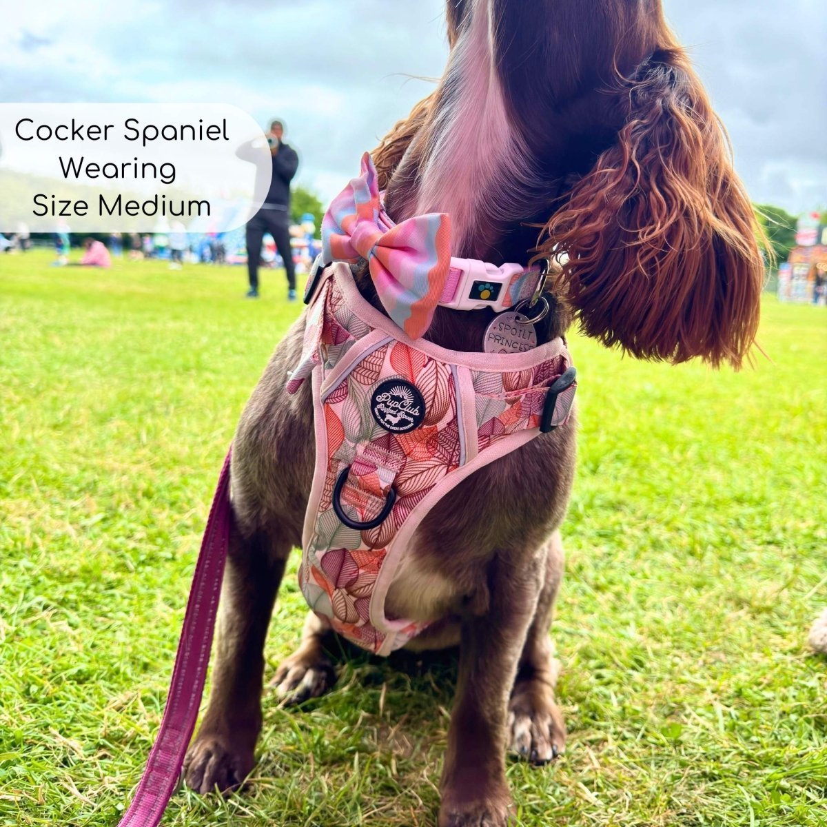 Rugged Rover™ Harness - Autumn Breeze - mezetto PupClub Couture PupClub Couture