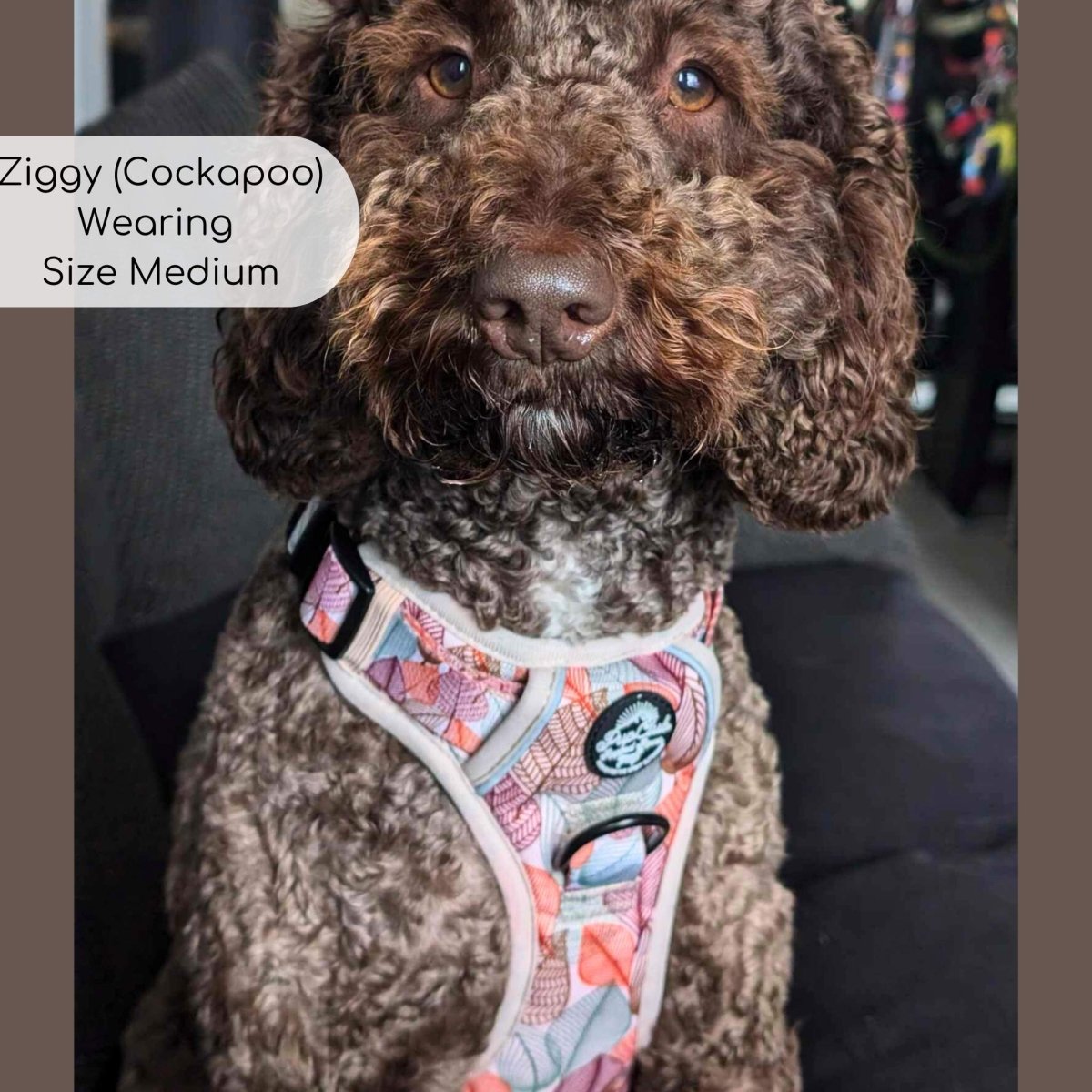 Rugged Rover™ Harness - Autumn Breeze - mezetto PupClub Couture PupClub Couture