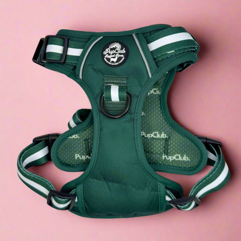 Rugged Rover™ Harness - Forest Green - mezetto PupClub Couture PupClub Couture