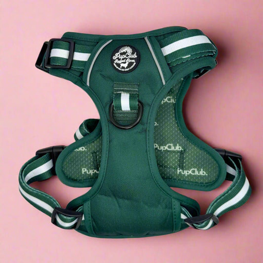Rugged Rover™ Harness - Forest Green - mezetto PupClub Couture PupClub Couture