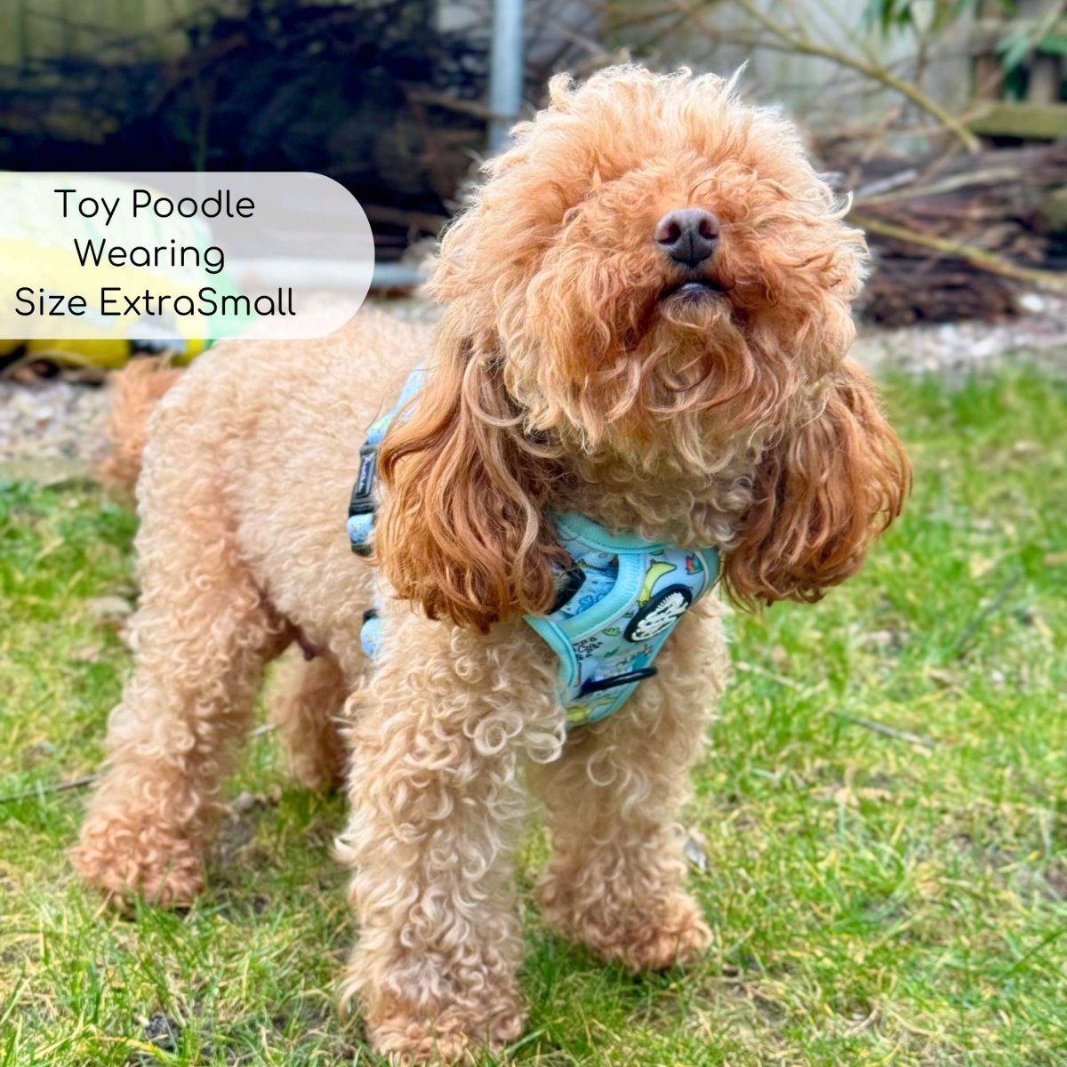 Rugged Rover™ Harness - Jurassic Party - mezetto PupClub Couture PupClub Couture