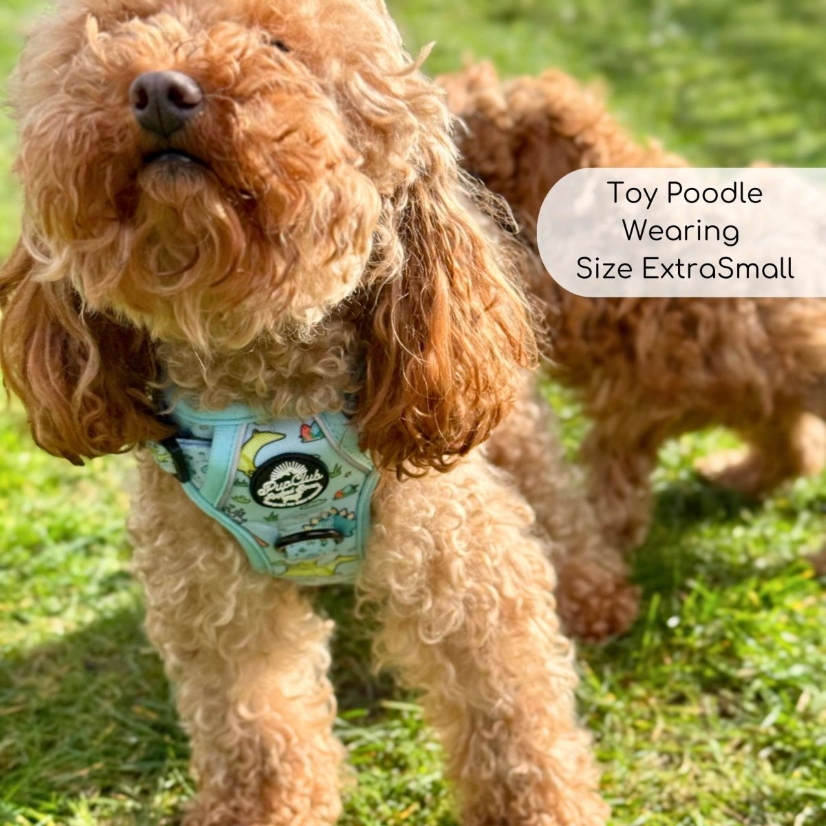 Rugged Rover™ Harness - Jurassic Party - mezetto PupClub Couture PupClub Couture