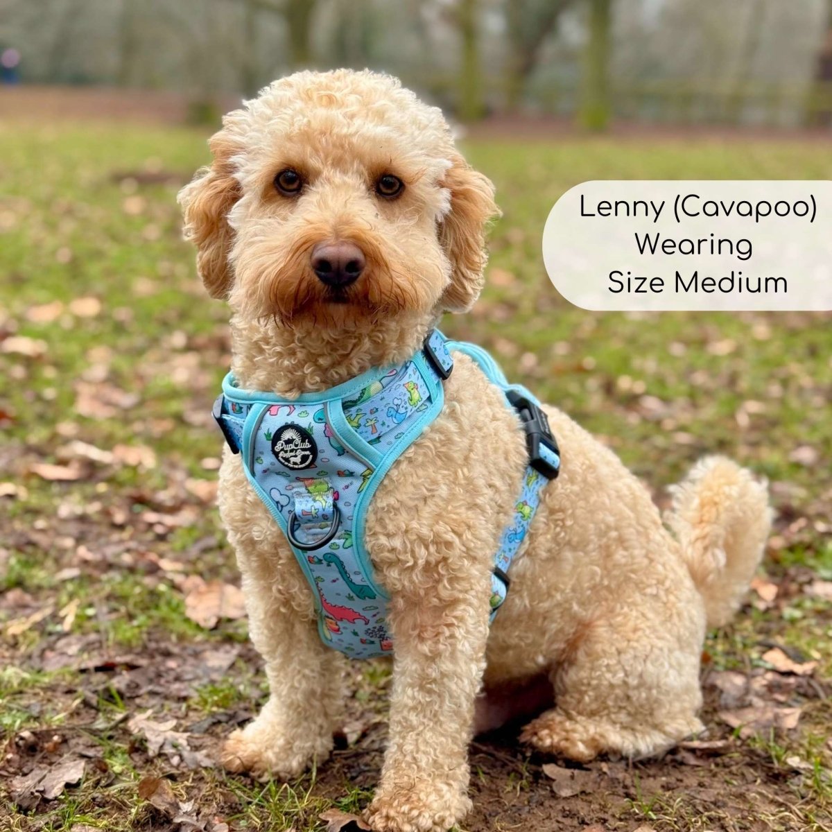 Rugged Rover™ Harness - Jurassic Party - mezetto PupClub Couture PupClub Couture