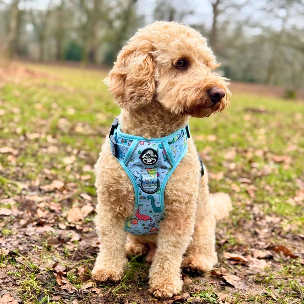Rugged Rover™ Harness - Jurassic Party - mezetto PupClub Couture PupClub Couture