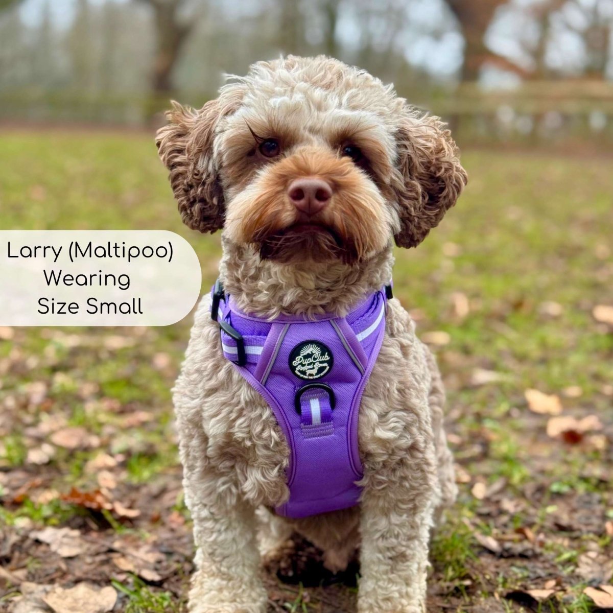 Rugged Rover™ Harness - Lilac Blush - mezetto PupClub Couture PupClub Couture
