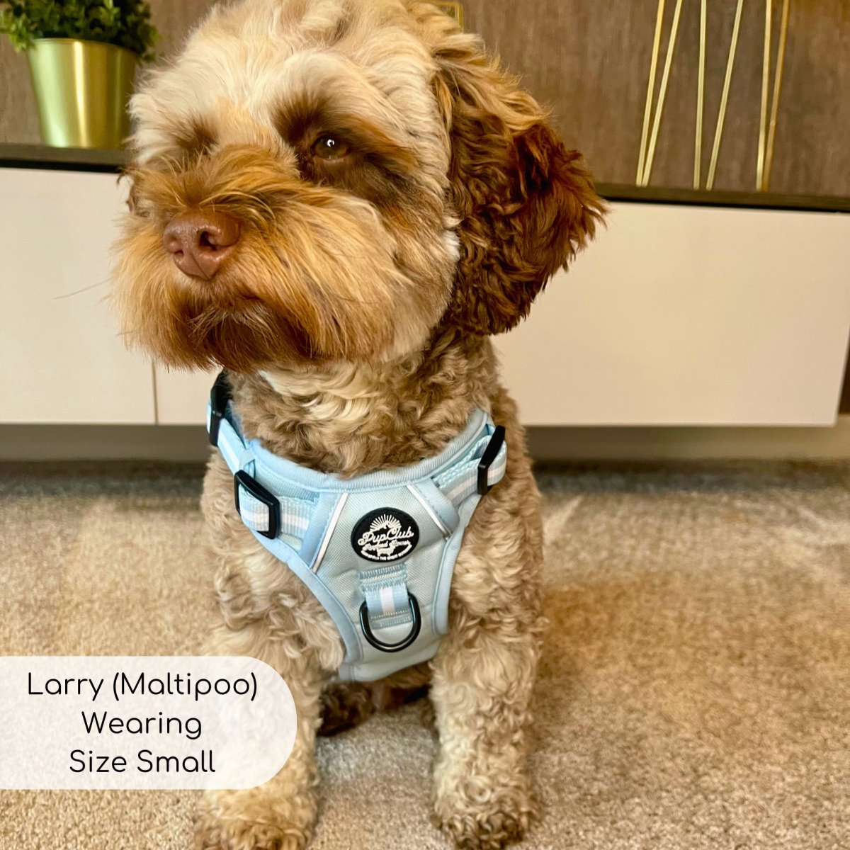 Rugged Rover™ Harness - Pastel Blue - mezetto PupClub Couture PupClub Couture