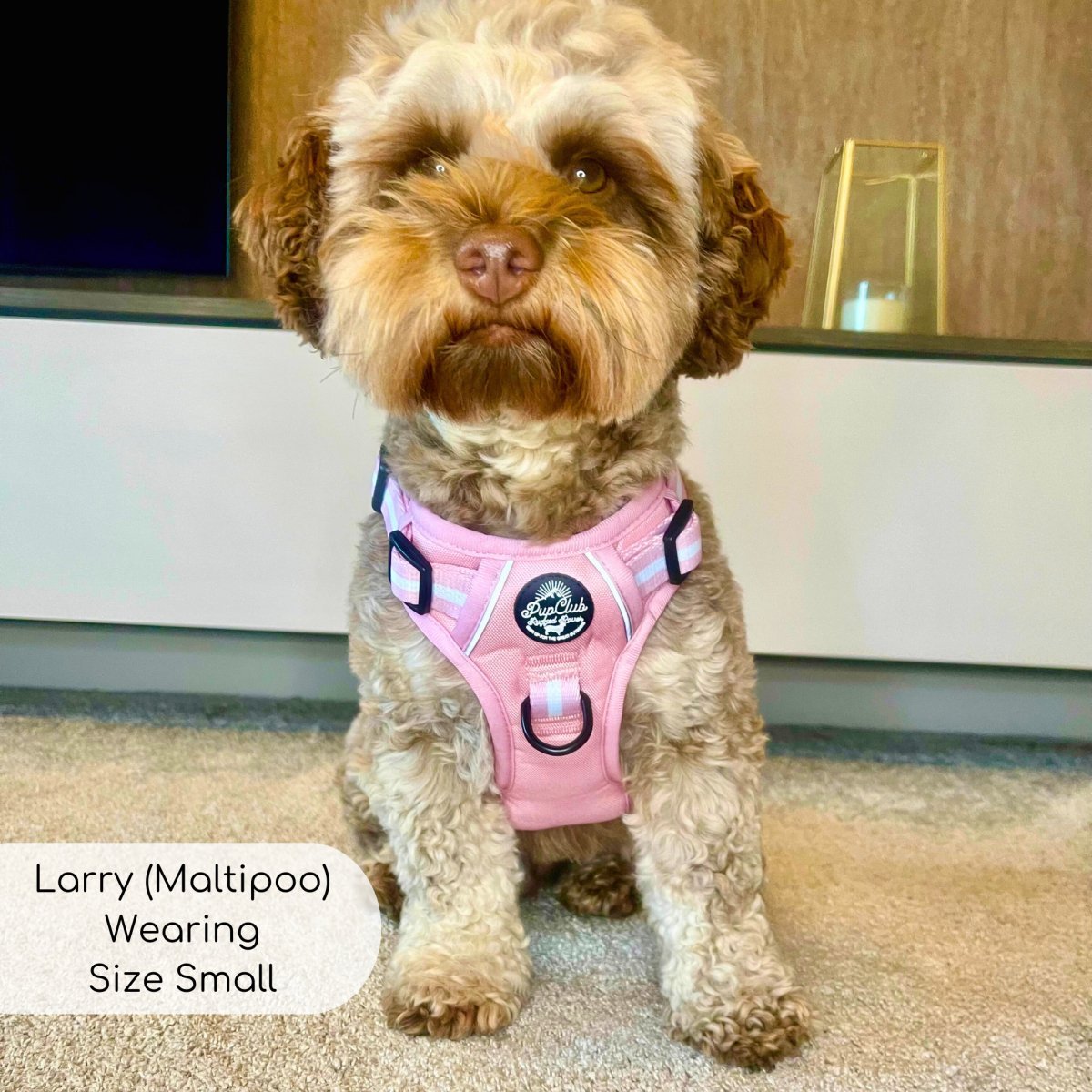Rugged Rover™ Harness - Pastel Pink - mezetto PupClub Couture PupClub Couture