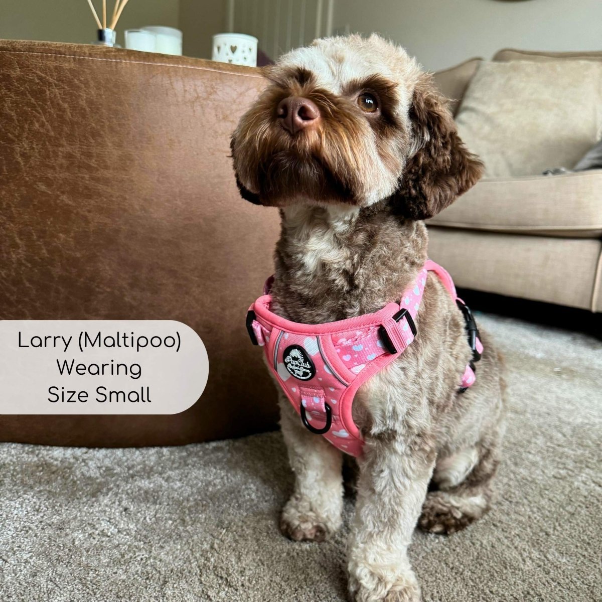 Rugged Rover™ Harness - Peachy Hearts - mezetto PupClub Couture PupClub Couture