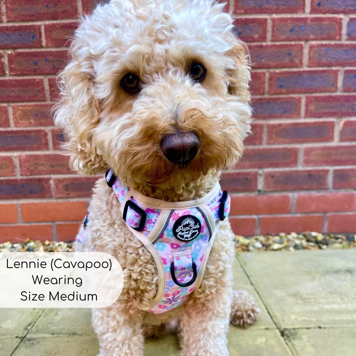 Rugged Rover™ Harness - Pretty Petals - mezetto PupClub Couture PupClub Couture