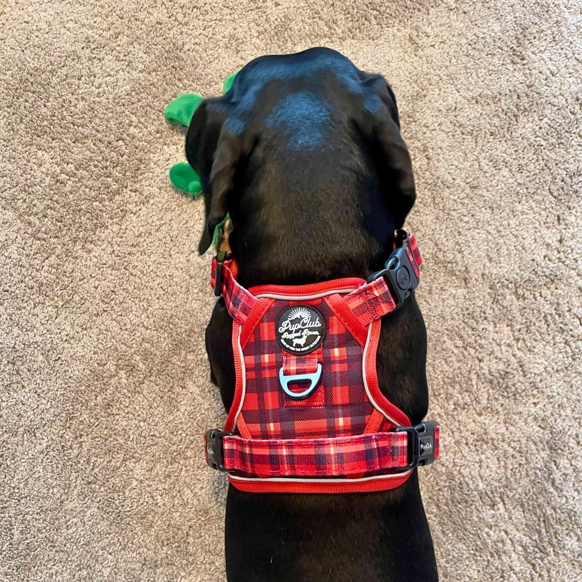 Rugged Rover™ Harness - Red Tartan - mezetto PupClub Couture PupClub Couture
