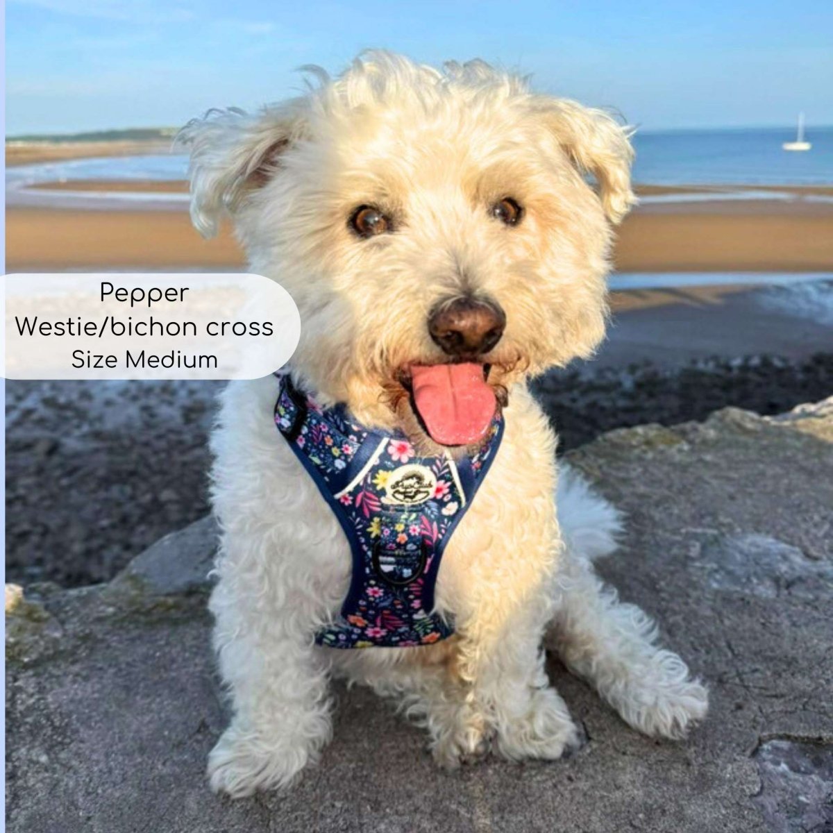 Rugged Rover™ Harness - Summer Meadow - mezetto PupClub Couture PupClub Couture