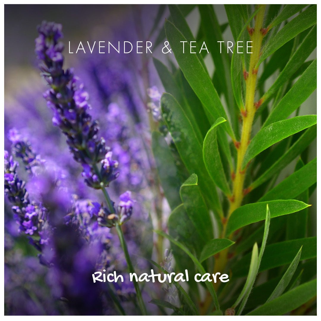 Shampoo Bar - Lavender & Tea Tree - mezetto Friendly Soap Friendly Soap