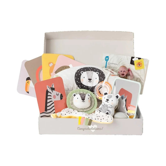 Taf Toys Newborn Play & Develop Kit - mezetto ebebek ebebek