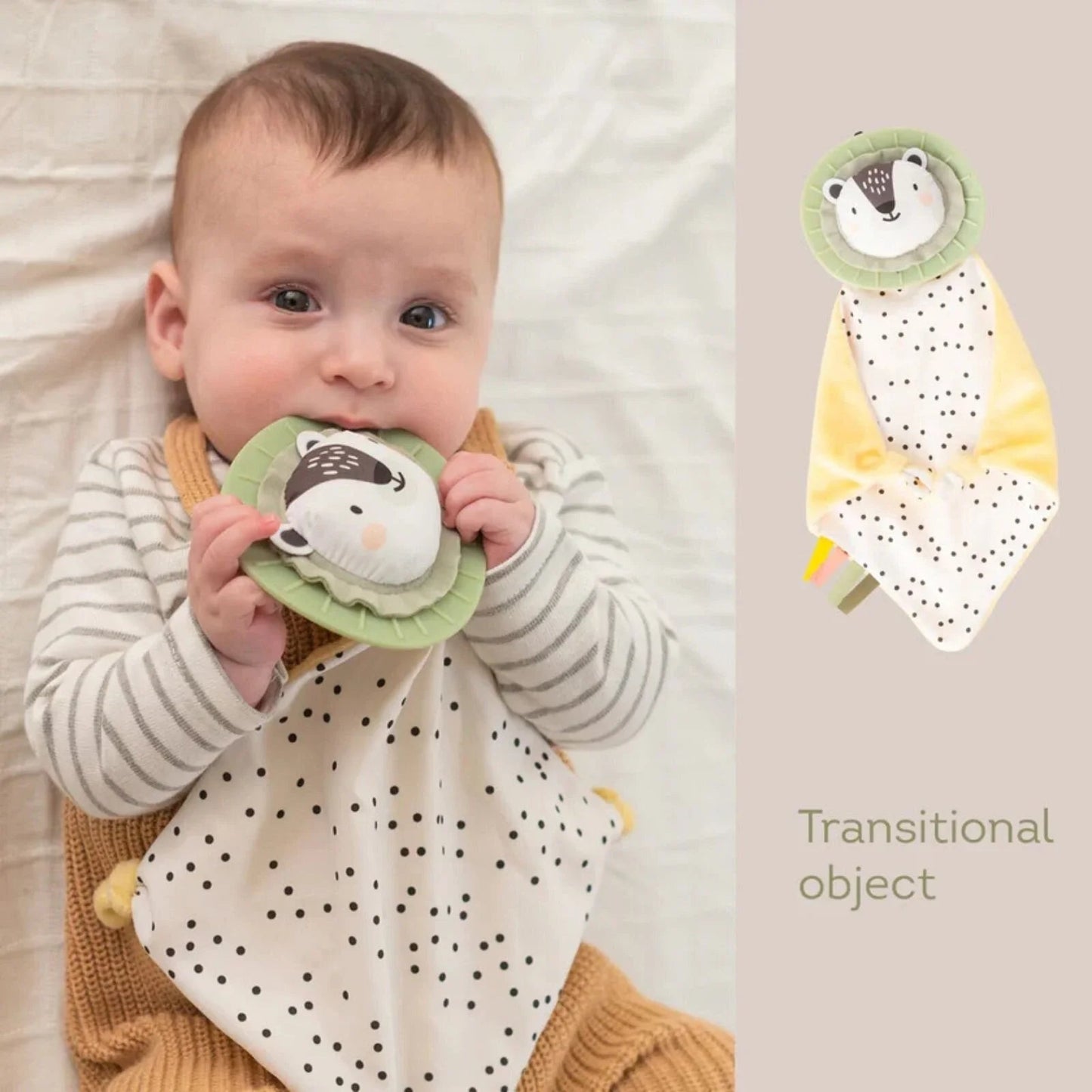 Taf Toys Newborn Play & Develop Kit - mezetto ebebek ebebek