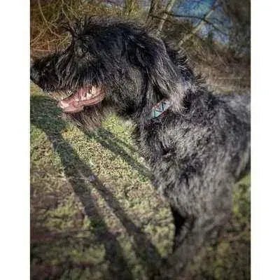 "The Maddy" Personalised Cotton Collar - mezetto
