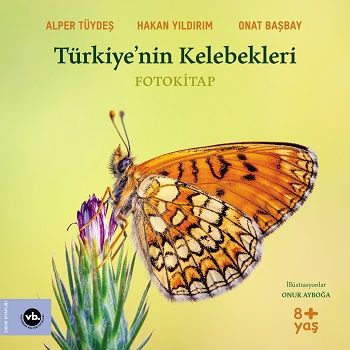 Türkiye’nin Kelebekleri - Vakıfbank Kültür Yayınları Kitap