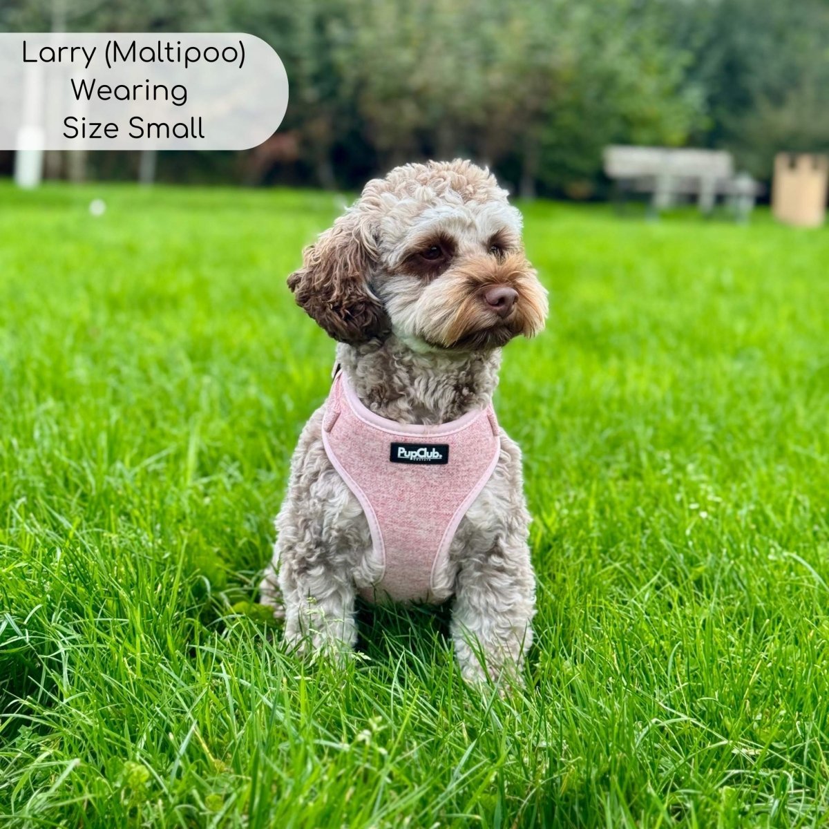Tweed Adjustable Harness - Pink - mezetto PupClub Couture PupClub Couture