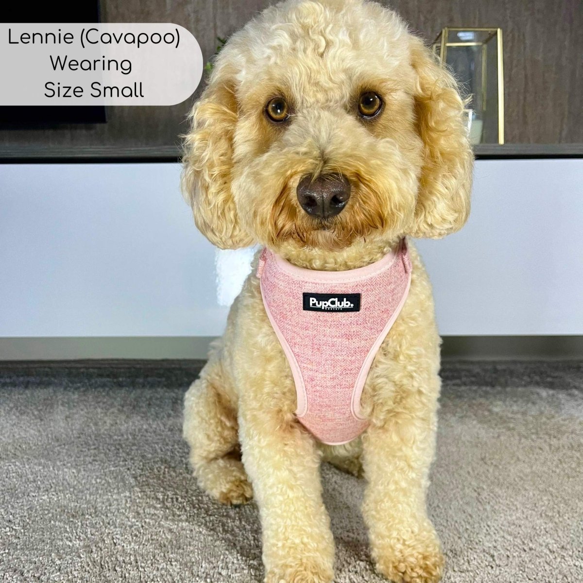 Tweed Adjustable Harness - Pink - mezetto PupClub Couture PupClub Couture