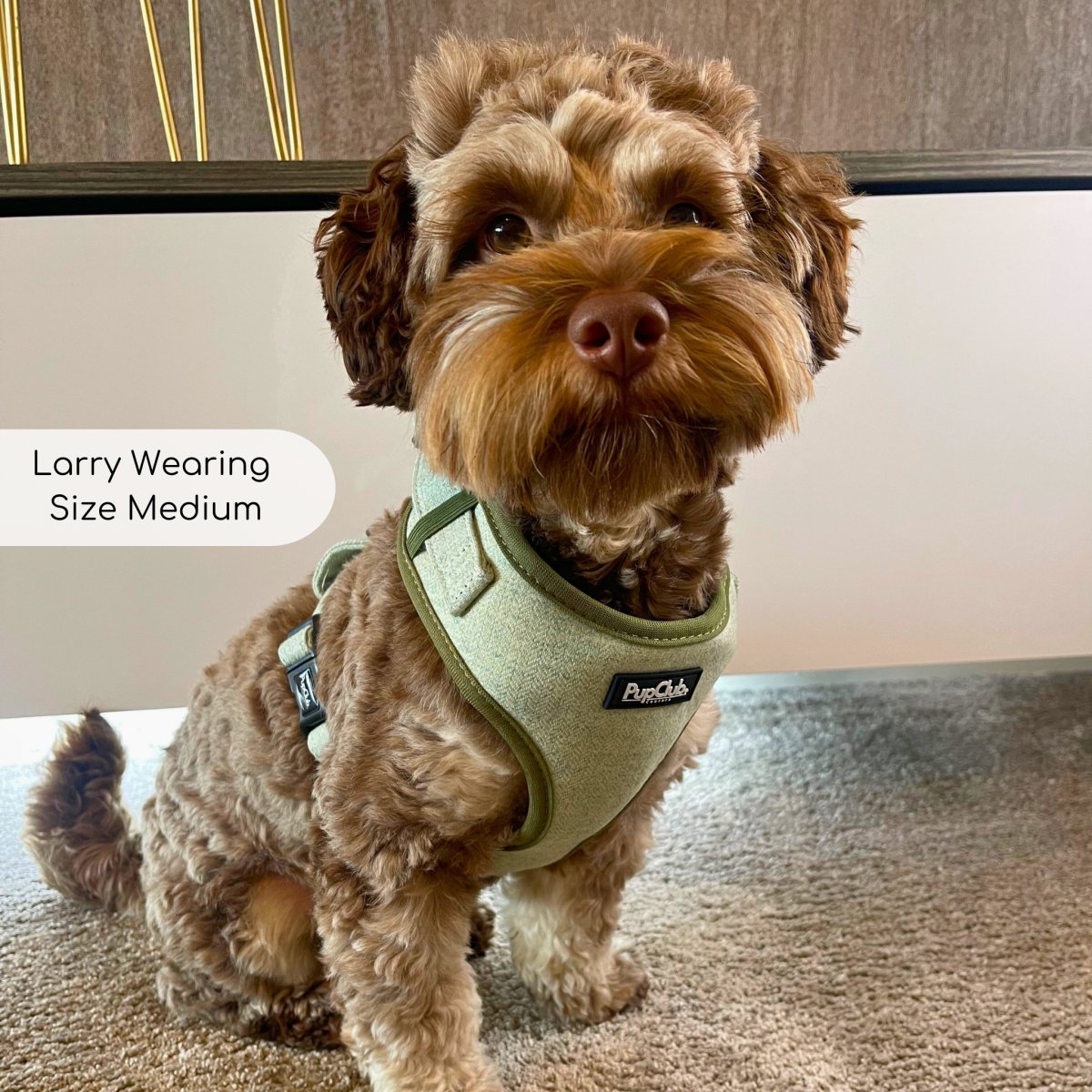 Tweed Adjustable Harness - Sage - mezetto PupClub Couture PupClub Couture