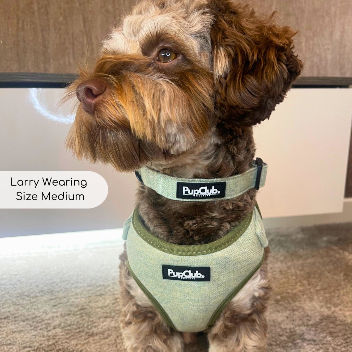 Tweed Adjustable Harness - Sage - mezetto PupClub Couture PupClub Couture