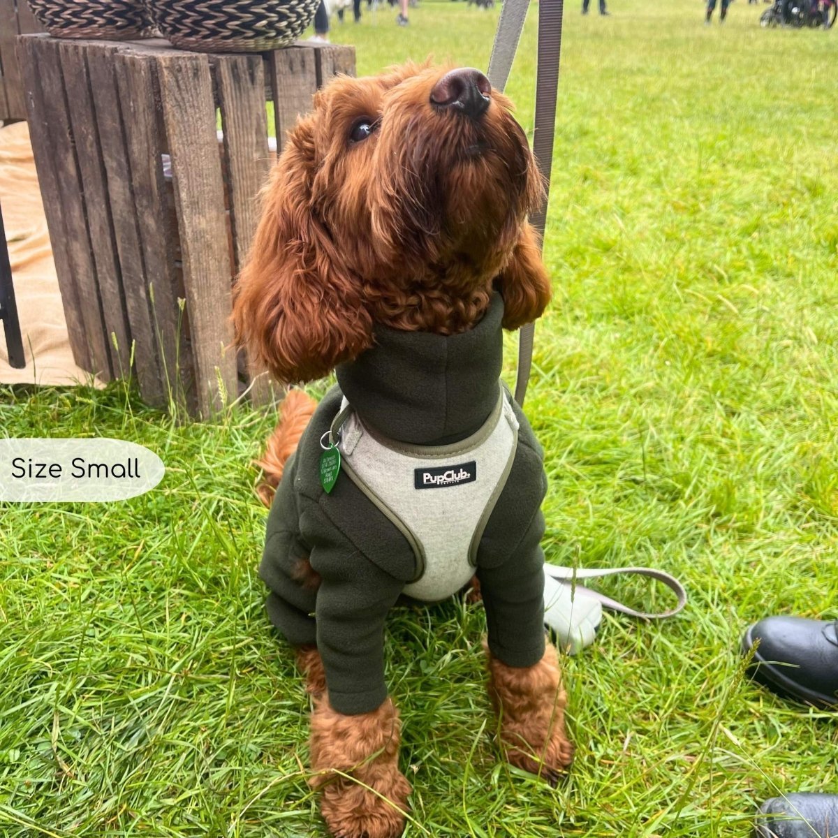 Tweed Adjustable Harness - Sage - mezetto PupClub Couture PupClub Couture