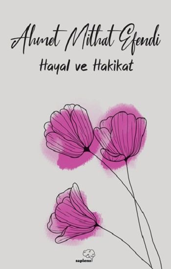 Hayal ve Hakikat - Sapiens Yayınları Kitap