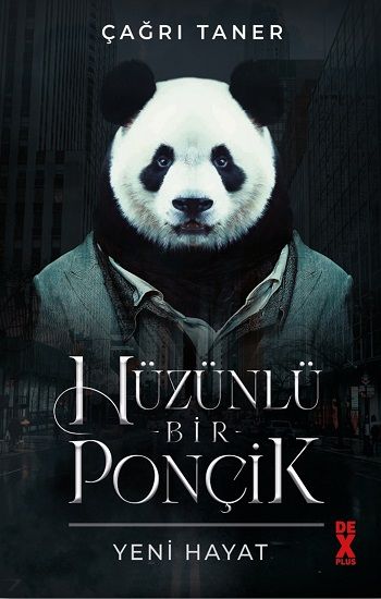 Hüzünlü Bir Ponçik - Dex Yayınevi Kitap