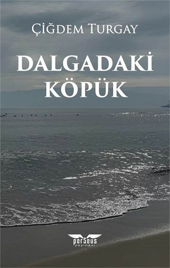 Dalgadaki Köpük - Perseus Kitap