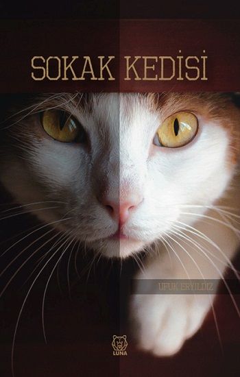 Sokak Kedisi - Luna Yayınları Kitap