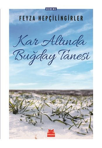 Kar Altında Buğday Tanesi - Kırmızı Kedi Yayınevi Kitap