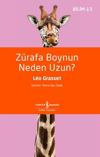 Zürafa Boynun Neden Uzun? - Bilim 13 - İş Bankası Kültür Yayınları Kitap